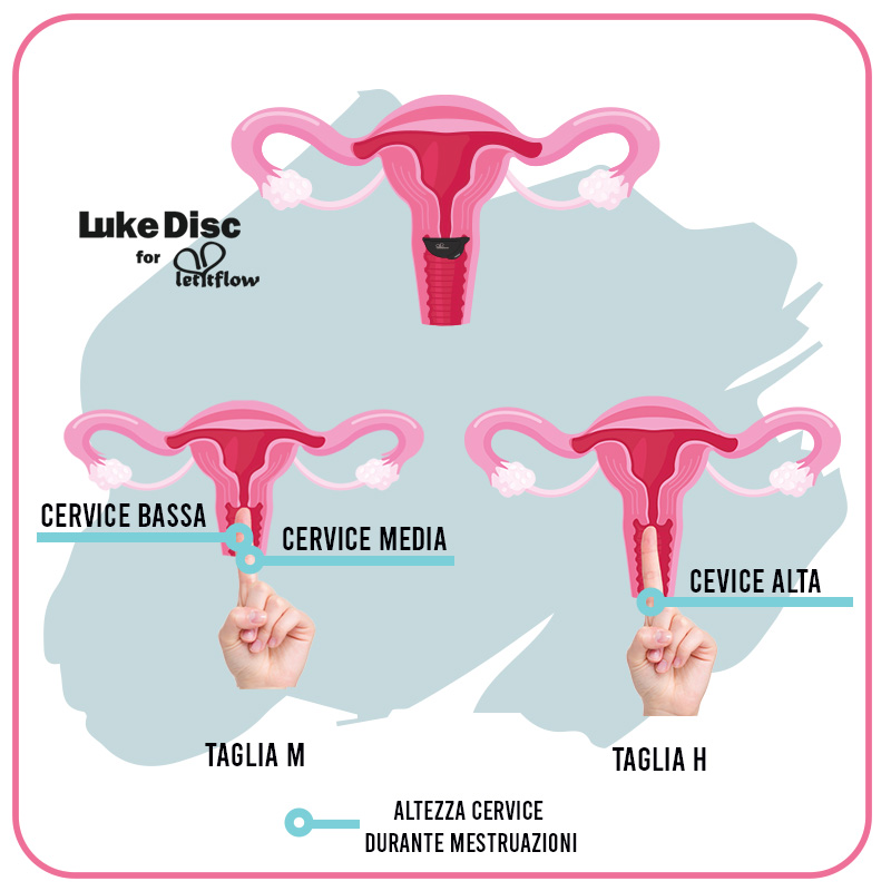 immagine di mano con dito misurando tipo altezza cervice dentro disegno utero e come scegliere misura disco mestruale letitflow